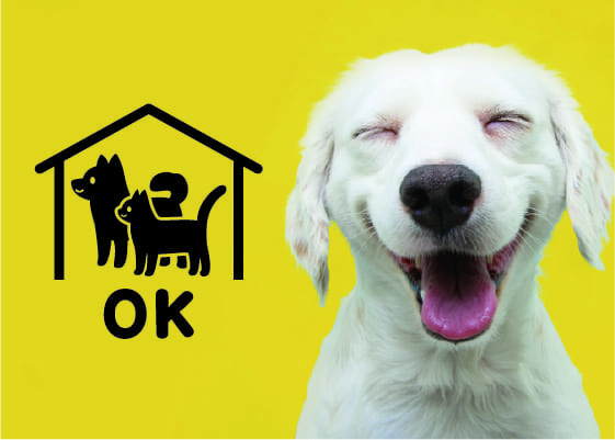 ペット相談可賃貸物件