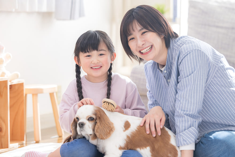 ペット可