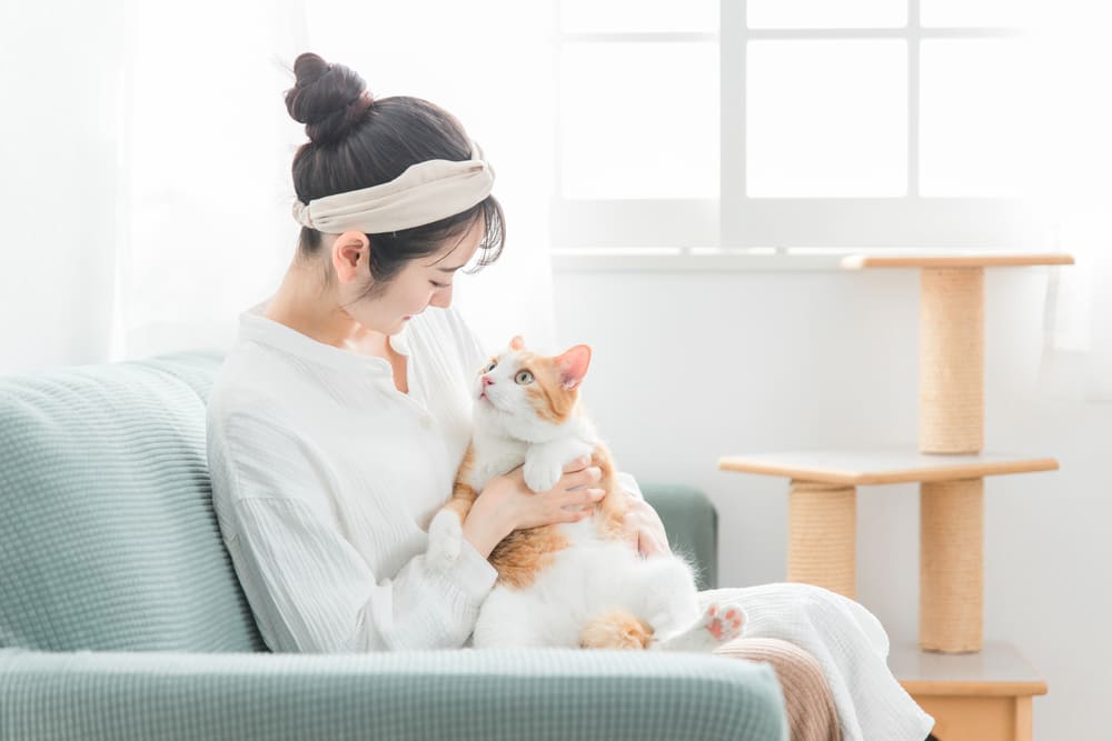 生活スタイルとの相性を考える