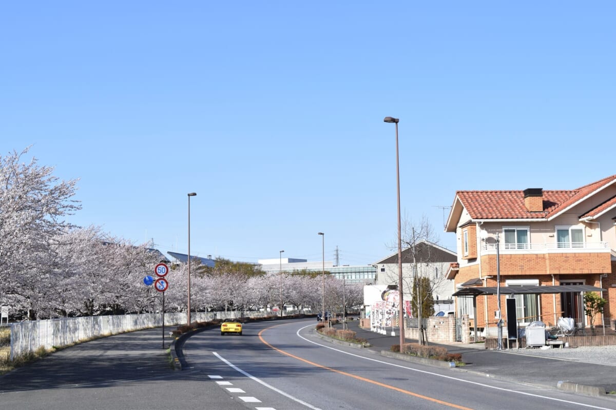 さくら市氏家周辺に住む